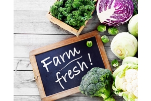 Discover Fresh Organic Farms In Switzeland Villages