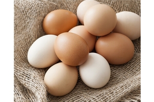Fresh Eggs Caroline In Australia Villages